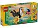 LEGO Creator 31173 Дикі тварини: тропічний тукан &mdash; конструктор 3-в-1 (225 деталей)
